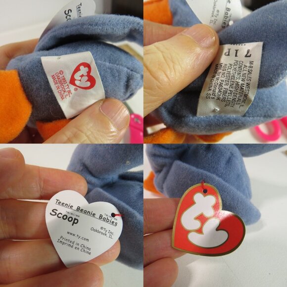 sea shells, acrylic sea turtle, TY Scoop pelican collection - Picture 7 of 13